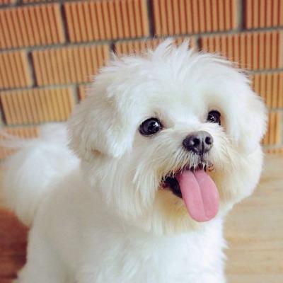 Celeste Indira Marguax