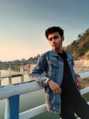 Punya Pratap