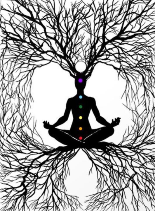 Illuminated Elevation