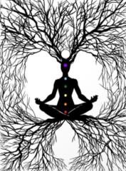 Illuminated Elevation