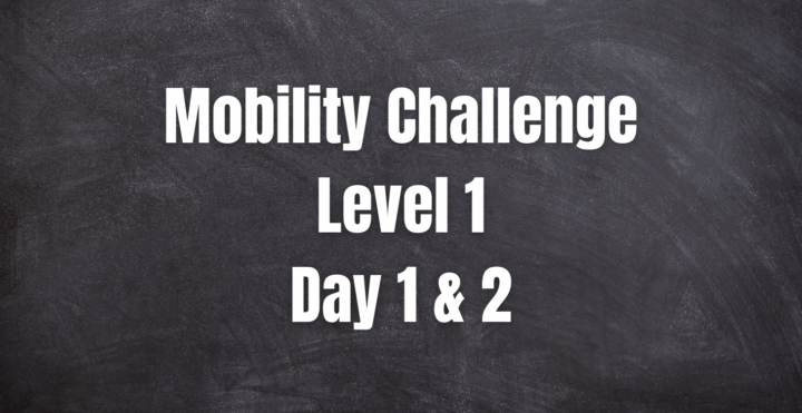 Mobility Challenge Day 1 & 2