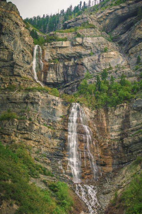 Mariana De Lara Gallegos