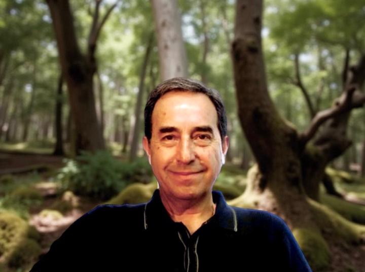 José Figueroa