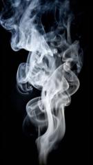 Чаминчулуун Шинэбаяр