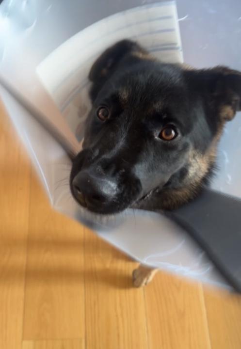 Liv Marie Brynestad Hansen