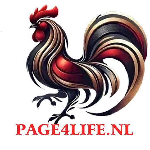 Đá gà thomo Pagelife