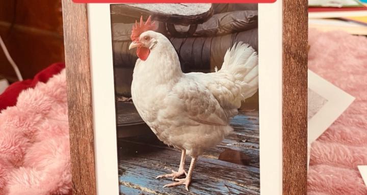 My Bestie has FEATHERS! 