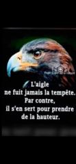 Gayana Milfort
