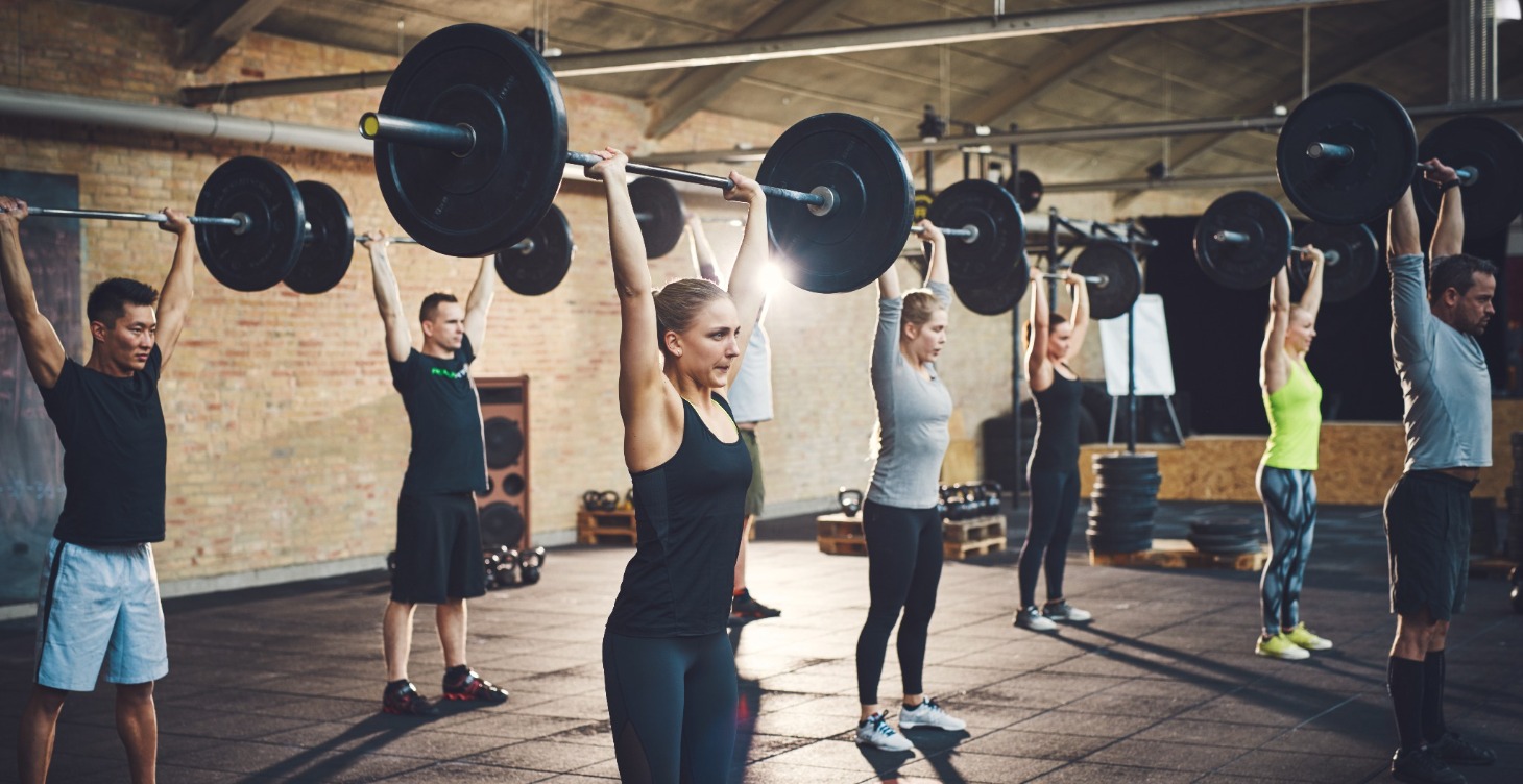 Muscle Building & Cardio