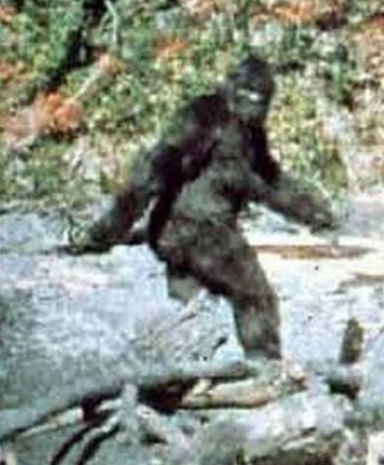 Steve SanRoman