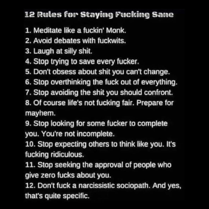 12 Steps to Sanity with lots of cursing (advance warning)