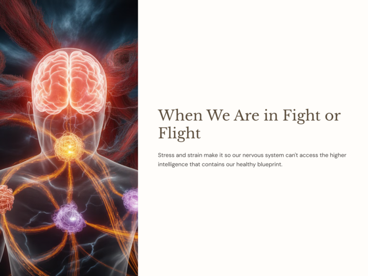 Hormones matter but inner energy matters more