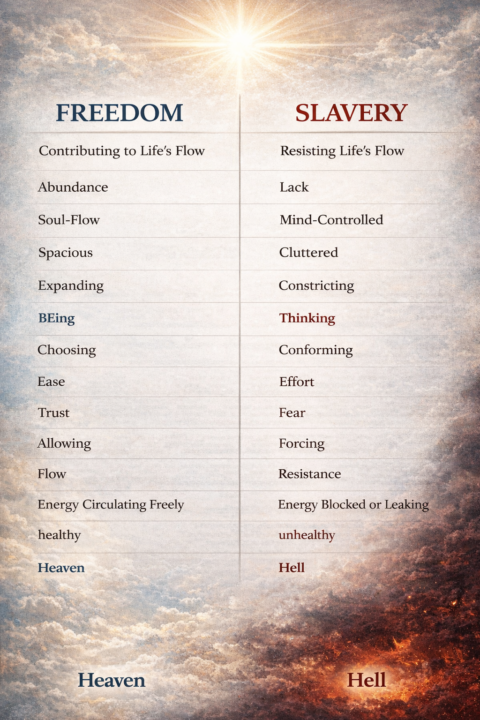 State of Flow: Choosing Freedom over Feeling Trapped