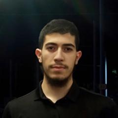 Assem Nedjar