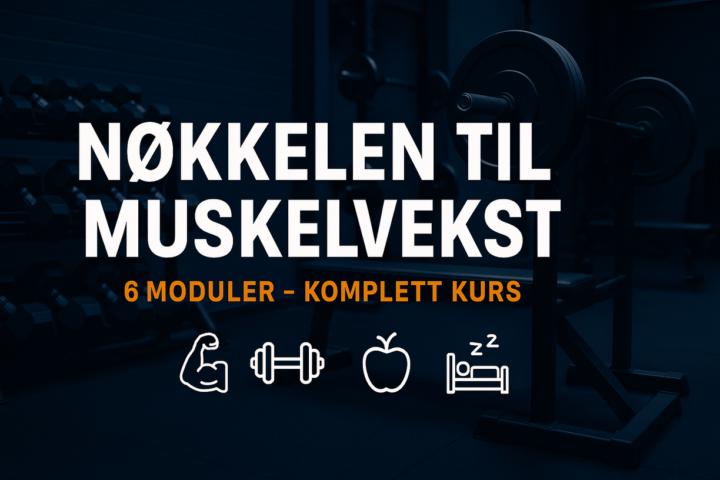 Nøkkelen til muskelvekst