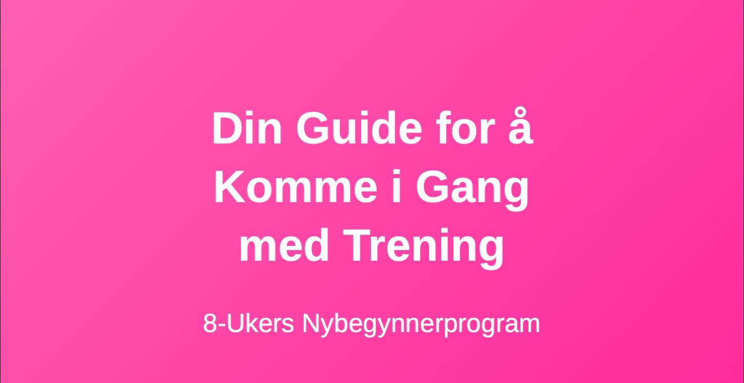 Nybegynner program