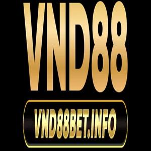 Vndbet Info