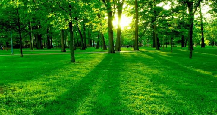 XÂY DỰNG TÀI SẢN CON NGƯỜI