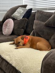 Sofia Manzur-Christian