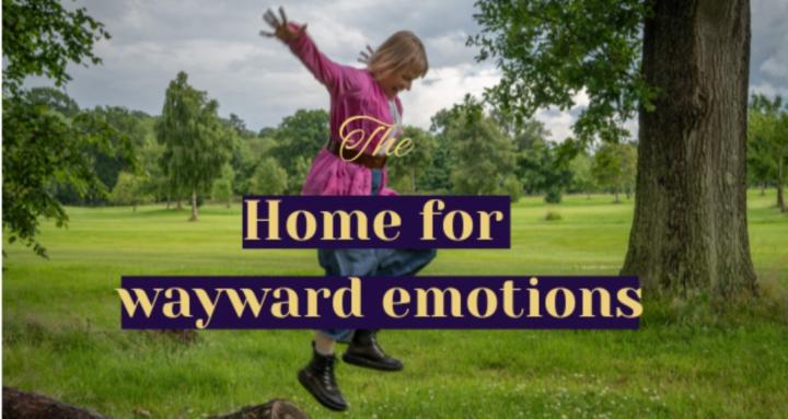 The home for wayward emotions