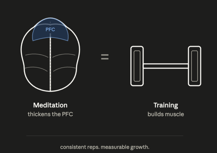 Train your prefrontal cortex like you train chest day