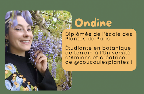 Bienvenue dans l'école buissonnière !