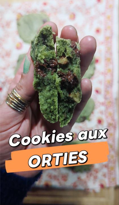 Cookies à l'ortie ! Oui oui !