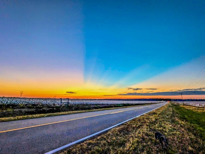 New member to the group. 