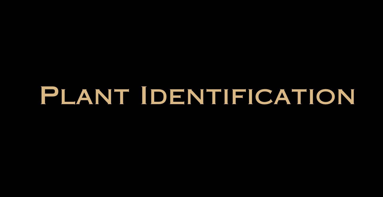 ISO Plant Identification Class