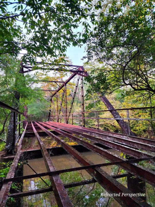 Somewhere in the woods, Alabama 