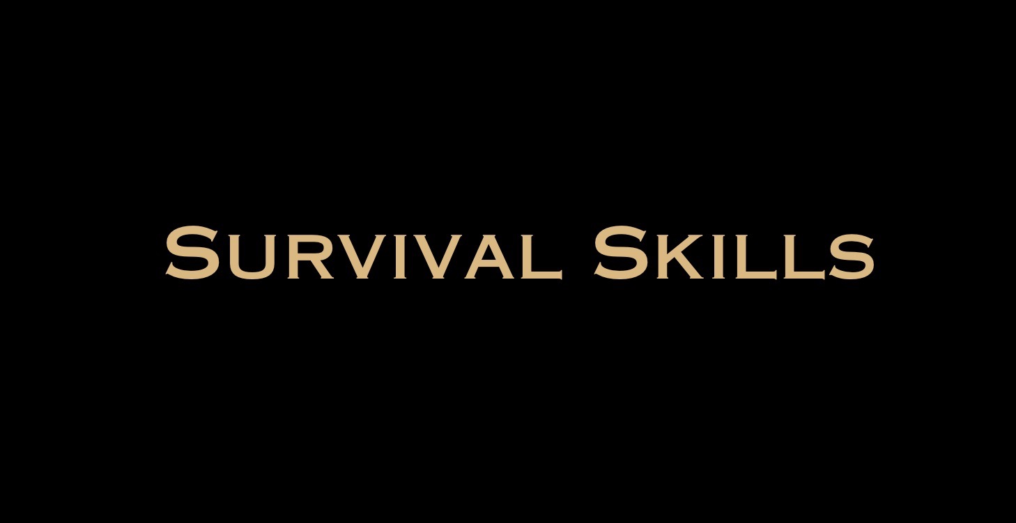 ISO Basic Survival Skills Class