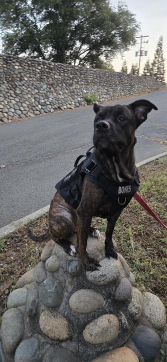 Bring on the fur babies! 🫠😁