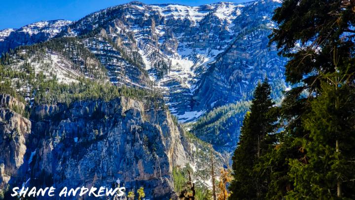 Late Photography Post