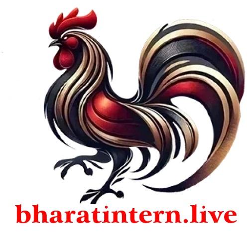 Đá gà thomo Bharatintern