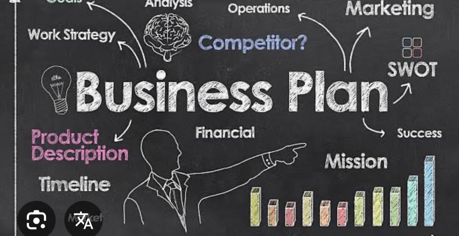 First steps- how can I get a Business Plan ?
