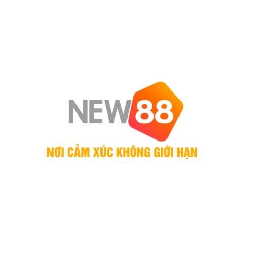 New Org