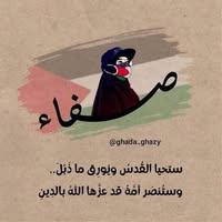 Safa Alselwy