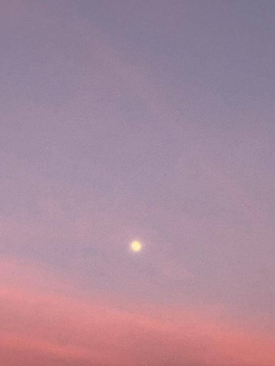 R L