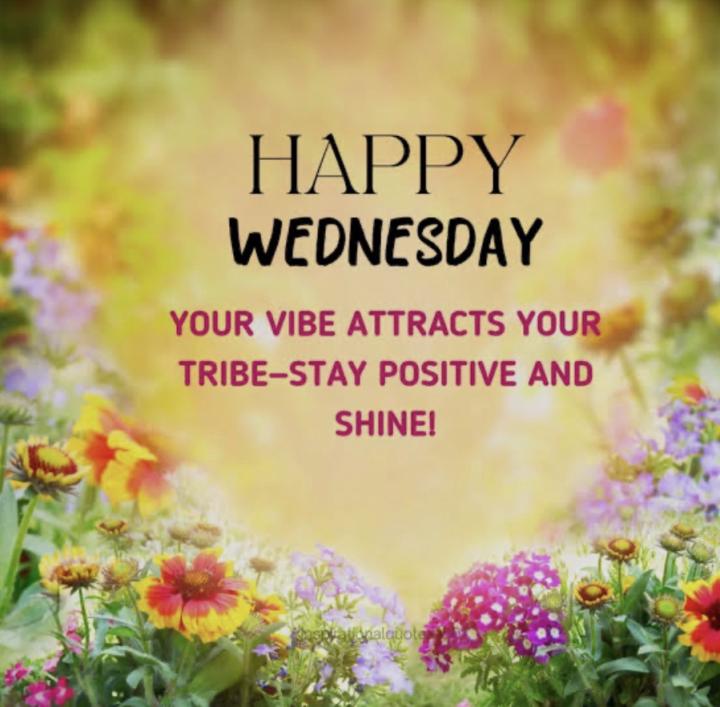 Wednesday inspiration 