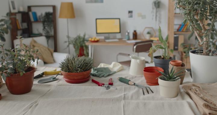 Home Grow HQ