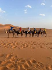 Albert Pedro de Sardi