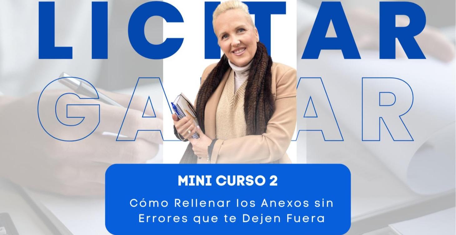 Cómo Rellenar los Anexos sin Errores