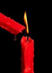 Incendiaria Bizarra