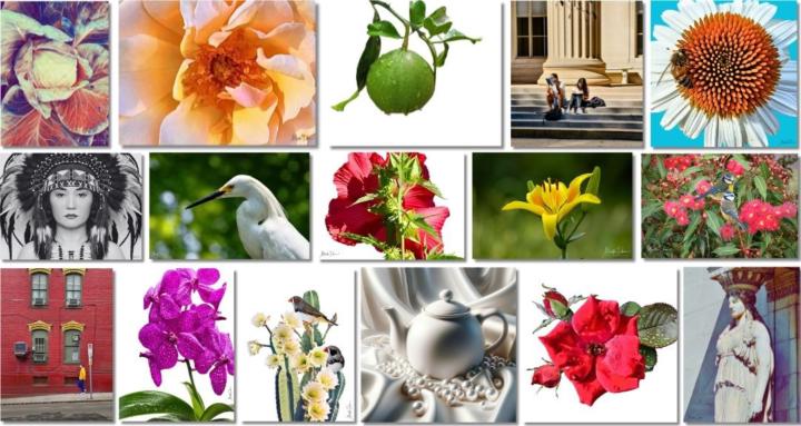 Reference Images Academy 🏆 🥇