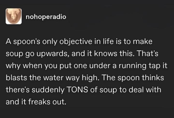 Spoon theory//