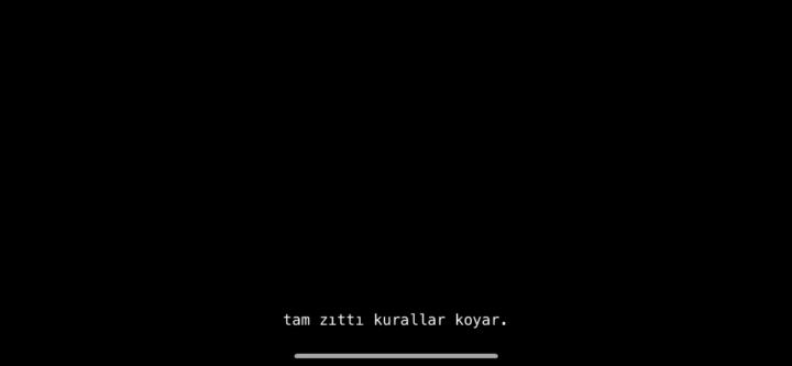 Ceren Yıldırım