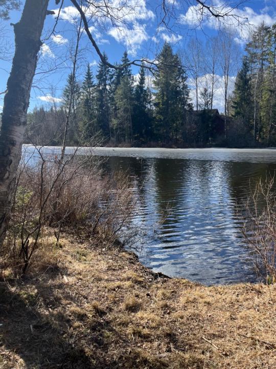 Pål-ørjan Johasnen