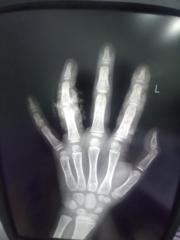 Түвшинбаяр Зоригт