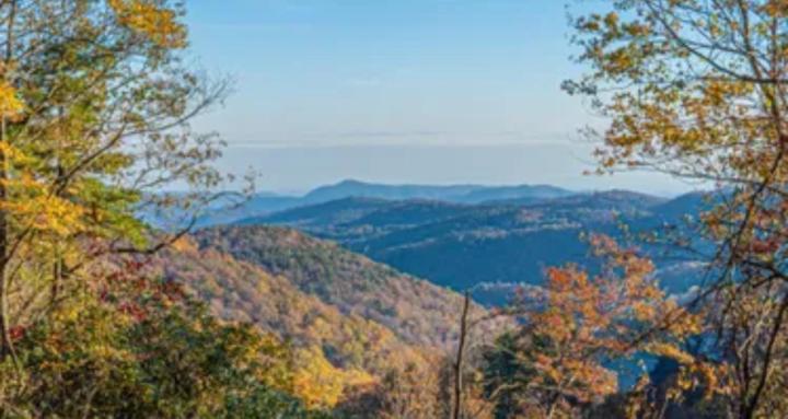 Land is the new Rolex