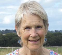 Ann Bromley